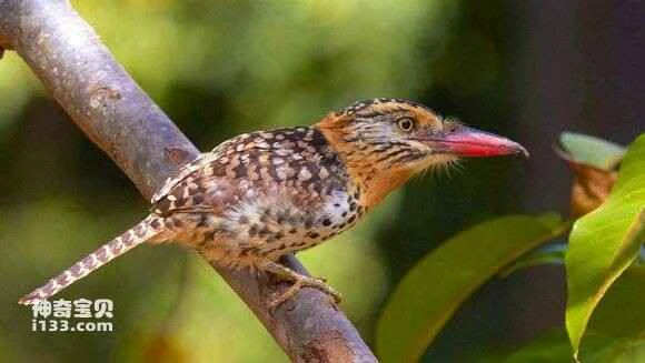 2023050976241986.jpg 2c865eaccbef7609ee309b5e24dda3cc7dd99eaf_九雷图片转换器.jpg