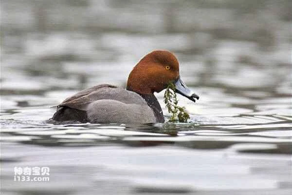 2023030314894079.jpg 5a2934596a189e6a1ffaee7b36ea91da_九雷图片转换器.jpg