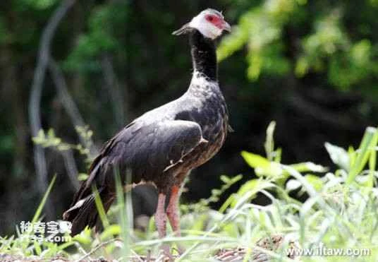 2023022819823942.jpg d8f9d72a6059252d0274524d359b033b5bb5b91c_九雷图片转换器.jpg