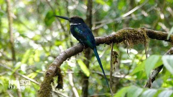 2023050818973781.jpg 1a815586e950352a64f735c95943fbf2b0118bd4_九雷图片转换器.jpg