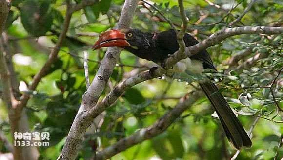 2023050449579900.jpg 6ae29902738da9772990e812be51f8198618e33b_九雷图片转换器.jpg