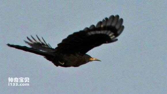 2023042049384836.jpg db80dd109313b07e489529ee06d7912396dd8c9b_九雷图片转换器.jpg