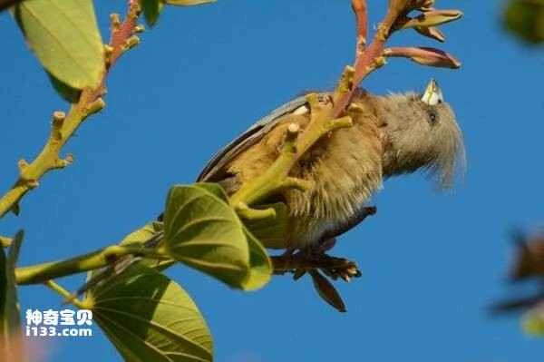 2023040811397745.jpg 微信图片_20230408180749_九雷图片转换器.jpg