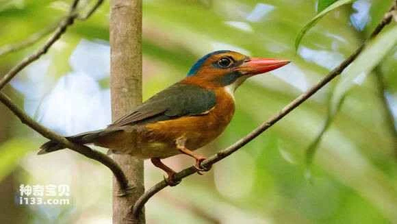 2023042412220353.jpg 3e65e583b9014a90191e0f52a2773912b21beeb5_九雷图片转换器.jpg