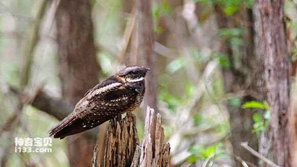 2023041412284046.jpg 070df12e070828383628b0f3b199a9014d08f1a7_九雷图片转换器.jpg