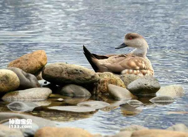 2023030120458262.jpg 8a7397248365195035b5855299ea3fa2_九雷图片转换器.jpg