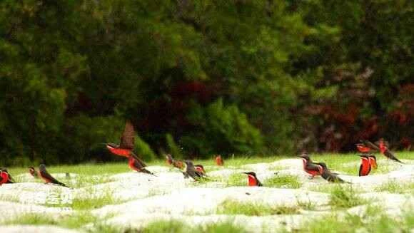 2023042215770879.jpg b237b989d43f87943716d8f2d81b0ef419d53af0_九雷图片转换器.jpg