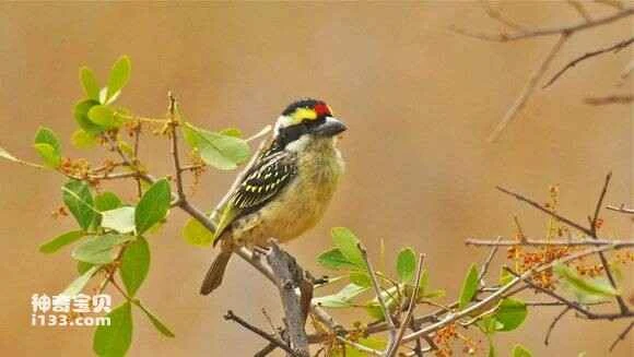 2023051413328359.jpg 0f5cd6399b504fc2f52c48c0efdde71191ef6d73_九雷图片转换器.jpg