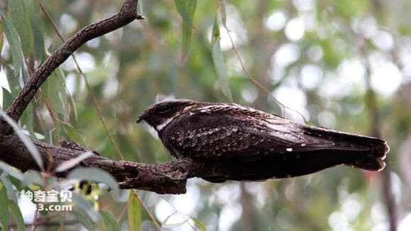 2023041412394114.jpg ef8e71168a82b90159f0afd47a8da9773812ef6f_九雷图片转换器.jpg