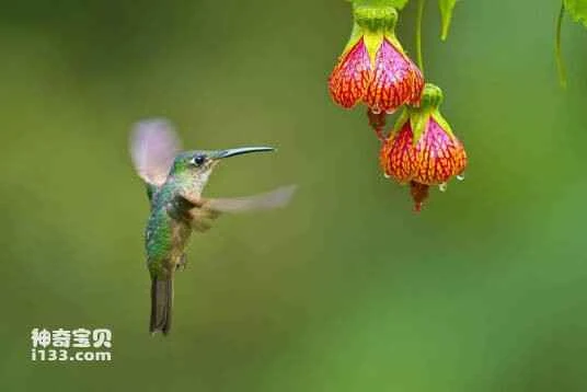 2023040311878808.jpg 203fb80e7bec54e716057300bd389b504ec26ac6_九雷图片转换器.jpg