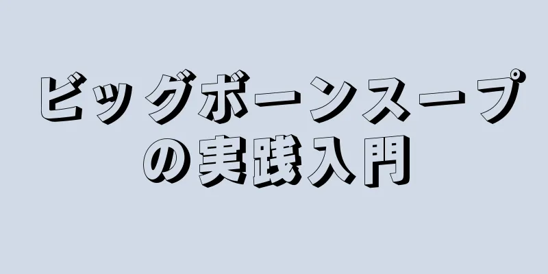 ビッグボーンスープの実践入門