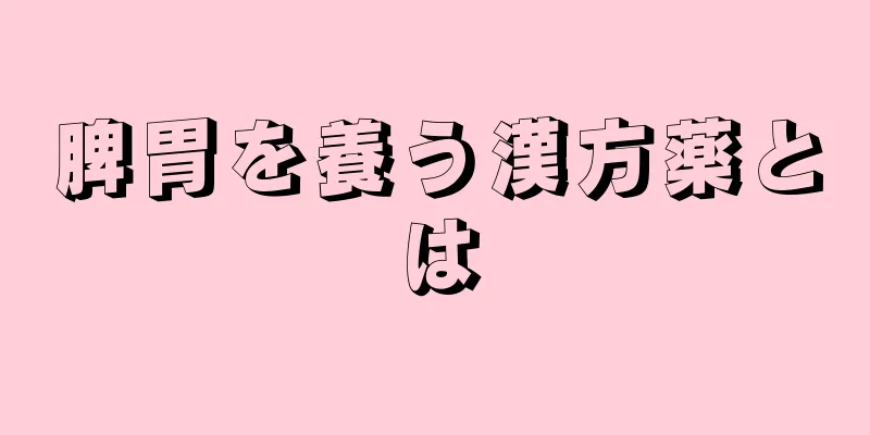 脾胃を養う漢方薬とは