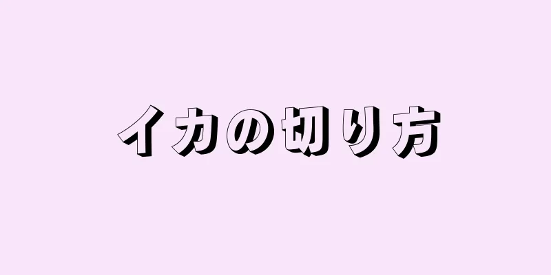 イカの切り方