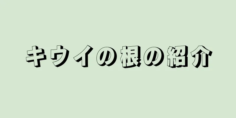 キウイの根の紹介