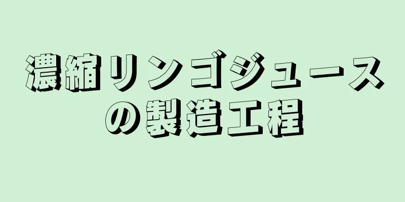 濃縮リンゴジュースの製造工程