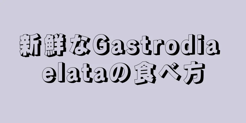 新鮮なGastrodia elataの食べ方