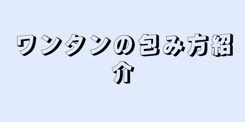 ワンタンの包み方紹介