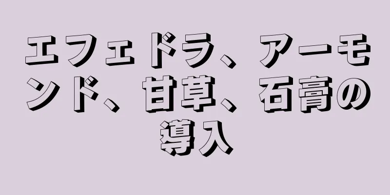 エフェドラ、アーモンド、甘草、石膏の導入