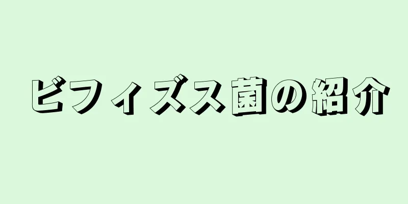 ビフィズス菌の紹介