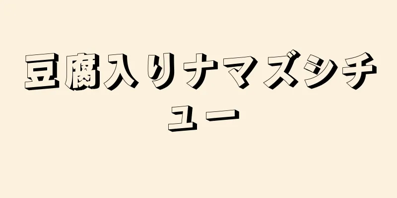 豆腐入りナマズシチュー