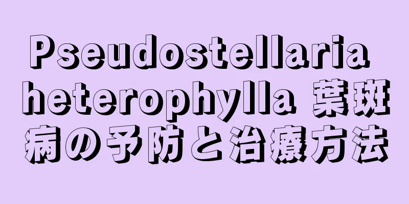 Pseudostellaria heterophylla 葉斑病の予防と治療方法