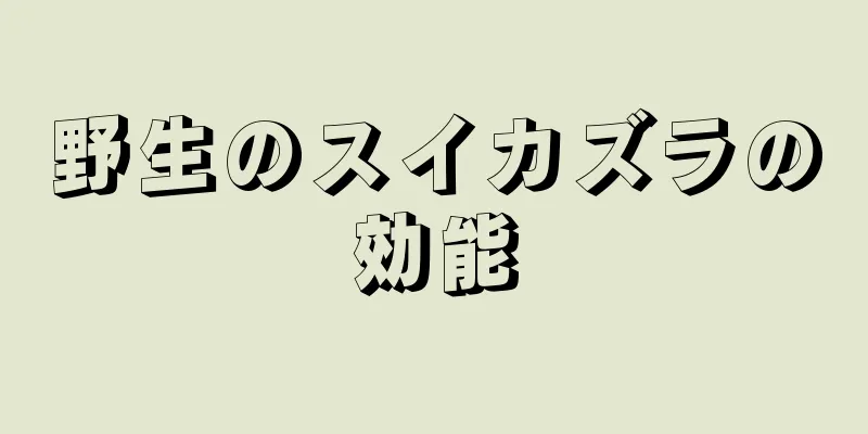 野生のスイカズラの効能