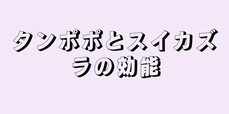 タンポポとスイカズラの効能