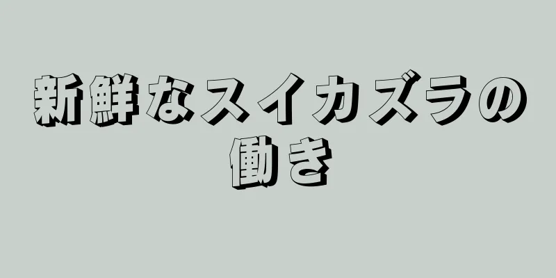 新鮮なスイカズラの働き