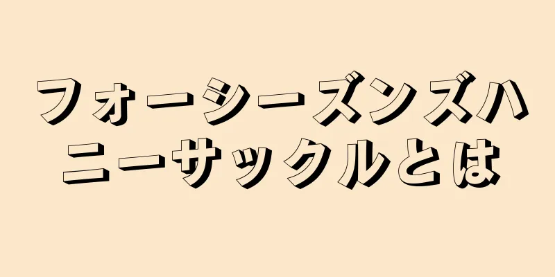 フォーシーズンズハニーサックルとは