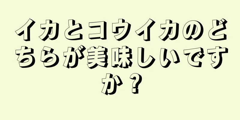 イカとコウイカのどちらが美味しいですか？