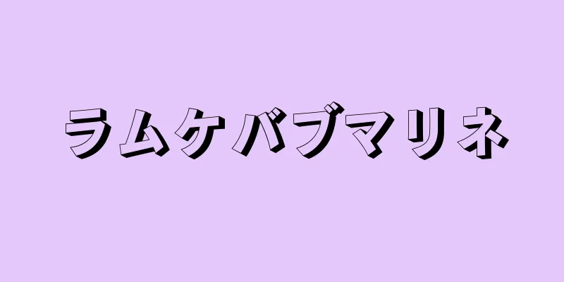 ラムケバブマリネ