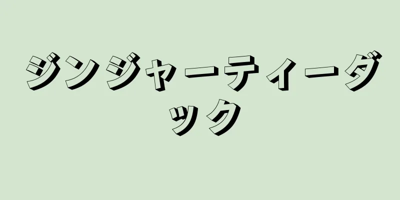 ジンジャーティーダック