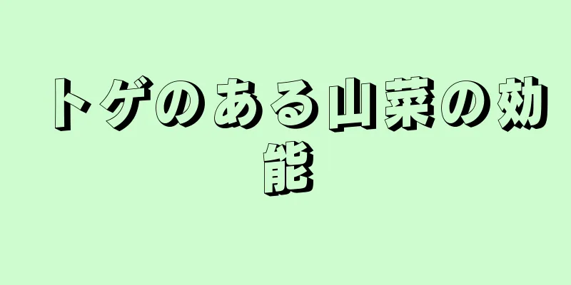 トゲのある山菜の効能