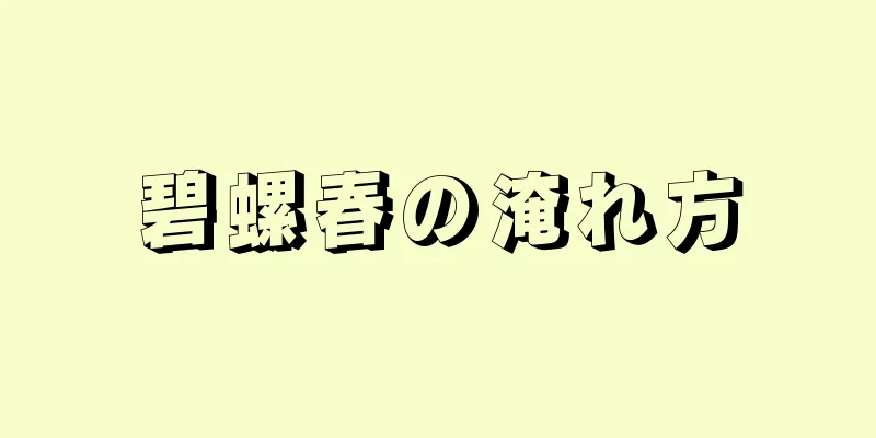 碧螺春の淹れ方