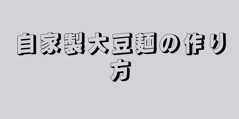 自家製大豆麺の作り方