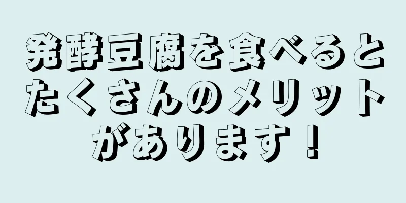 発酵豆腐を食べるとたくさんのメリットがあります！