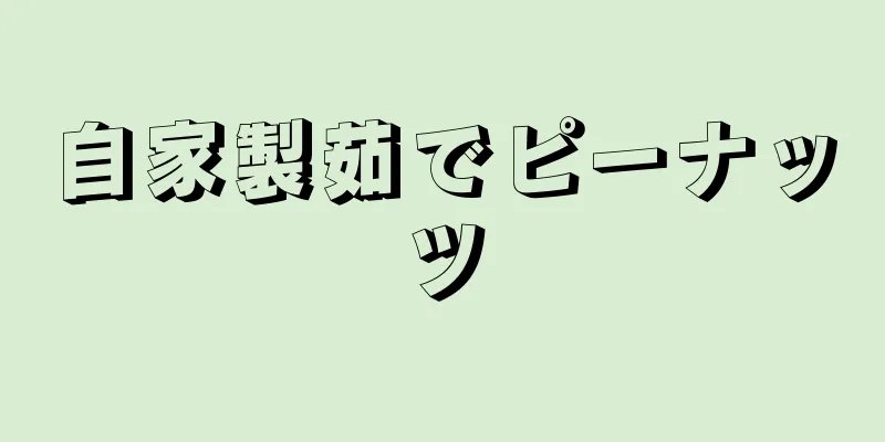 自家製茹でピーナッツ