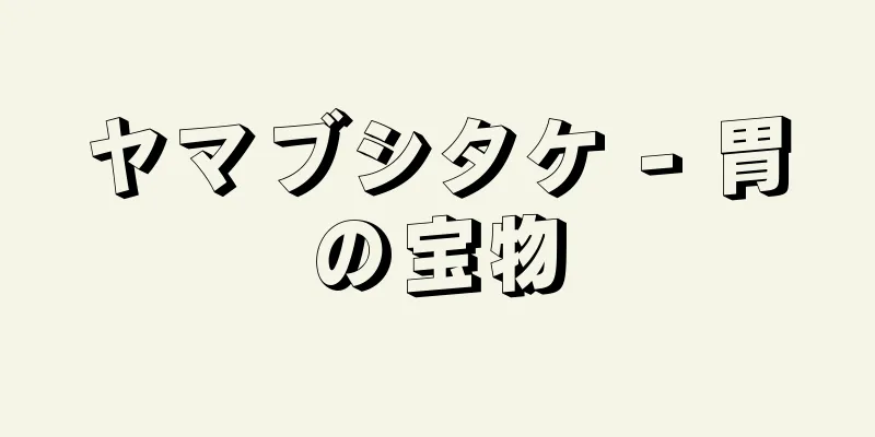 ヤマブシタケ - 胃の宝物