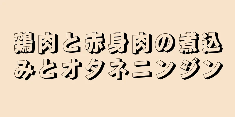 鶏肉と赤身肉の煮込みとオタネニンジン