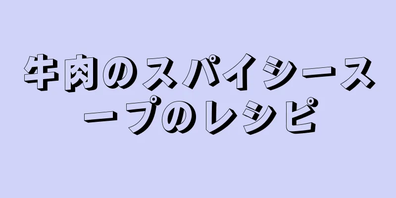 牛肉のスパイシースープのレシピ