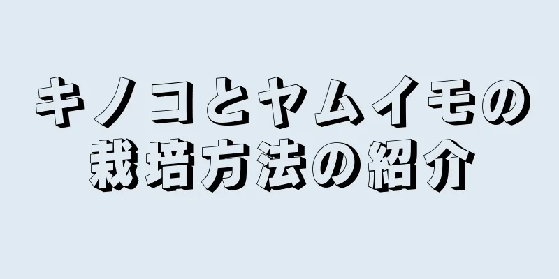 キノコとヤムイモの栽培方法の紹介