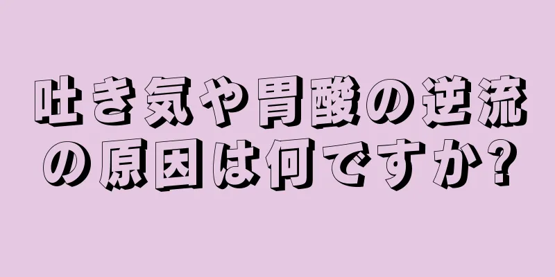 吐き気や胃酸の逆流の原因は何ですか?