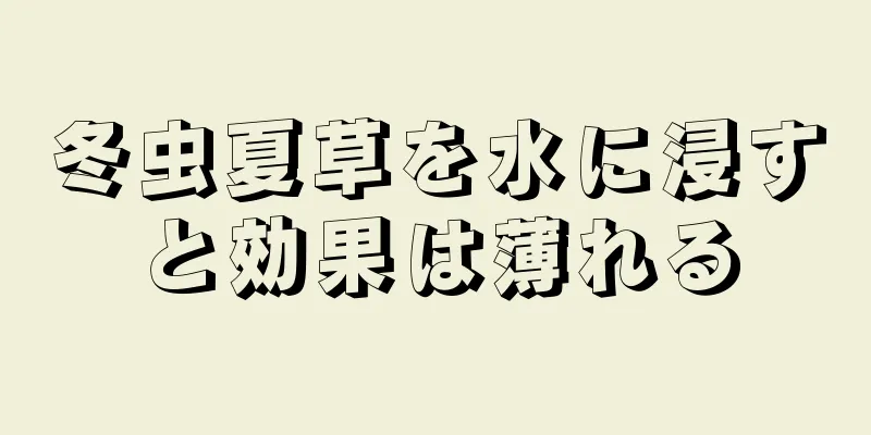 冬虫夏草を水に浸すと効果は薄れる