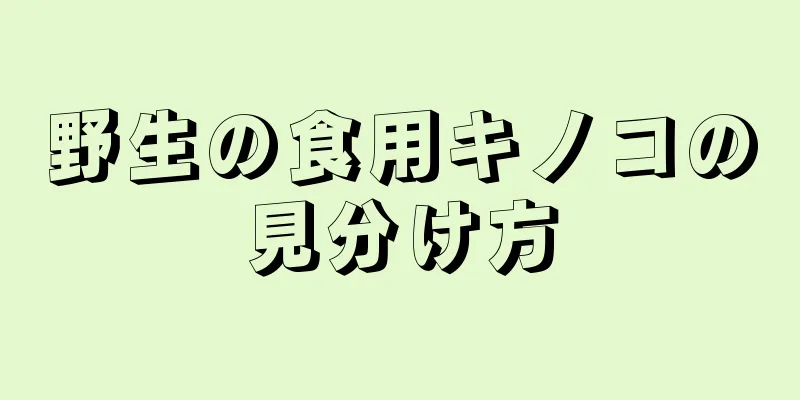 野生の食用キノコの見分け方