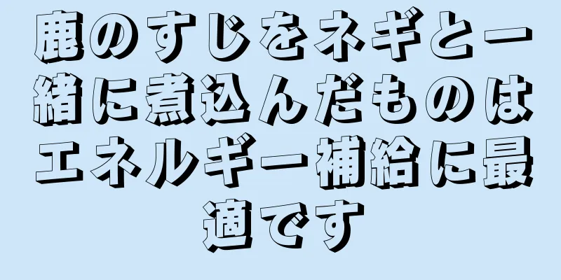 鹿のすじをネギと一緒に煮込んだものはエネルギー補給に最適です