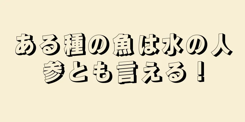 ある種の魚は水の人参とも言える！