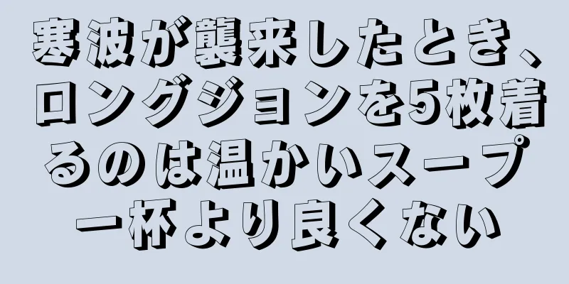 寒波が襲来したとき、ロングジョンを5枚着るのは温かいスープ一杯より良くない