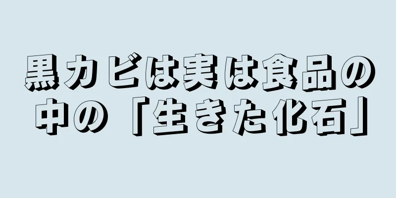 黒カビは実は食品の中の「生きた化石」