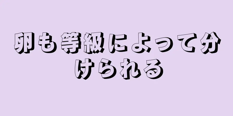 卵も等級によって分けられる