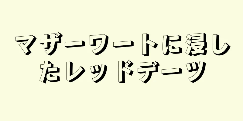 マザーワートに浸したレッドデーツ